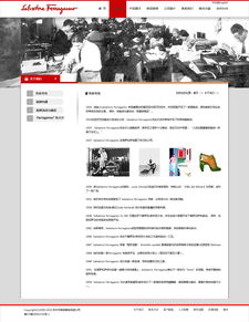 网站设计与网页设计 数字时代视觉与功能的双重奏